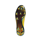 F50 Elite 2010 FG - Special Edition