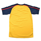 08/10 Arsenal Home/Away image 3